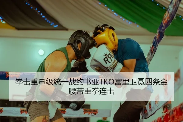 拳击重量级统一战约书亚TKO富里卫冕四条金腰带重拳连击